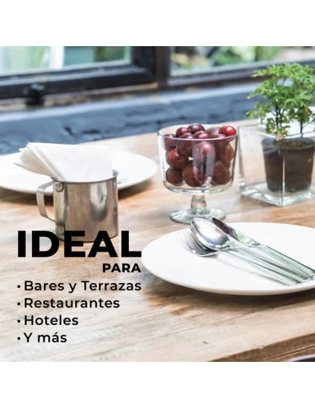 Paper Napkins | 33x33 cm | 1 Pack of 100 units