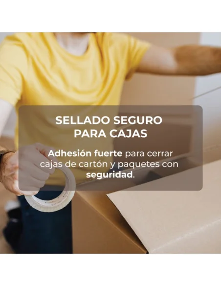 Precinto Solvente | Pack 6 Uds.