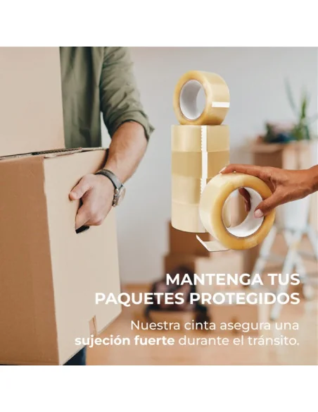 Precinto Solvente | Pack 6 Uds.